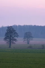 Selbstklebende Fototapeten Krajobraz z mgłą © MagicEarthPlanet