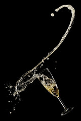 Champagne glass splash on black background, studio shot