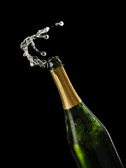 Champagne up from a green bottle, close up on black background, studio shot