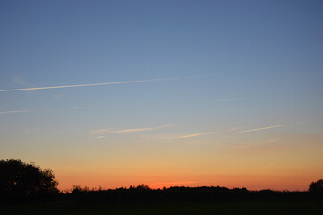 Beautiful sunset sky with treetop silhouette in the horizon
