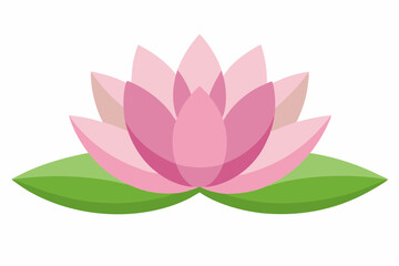 lotus flower vector illustration