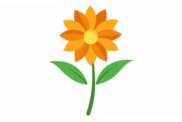 flower of calendula