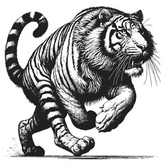 tiger vector illustration