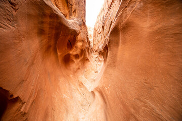 Slot Canyon's Sculpted Walls and Light Beam