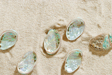 Aesthetic minimal summer sea holiday concept, shiny pearlescent seashells on fine sand. Top view colorful abalone shells on sandy textured background, sea, blue green beige earthy tones, copy space