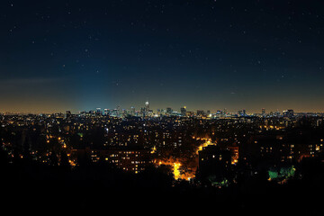 Naklejka premium Palo Alto Skyline