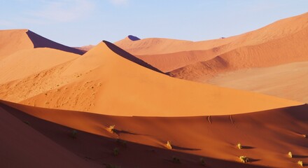Sea of dunes in the Sossusvlei salt flat, Namib-Naukluft National Park, Namibia