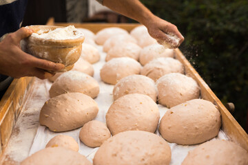 Bread preparation. loaves of dough before baking