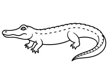 Fototapeta premium crocodile silhouette line art vector illustration with a white background