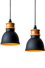 Modern Scandinavian black pendant lamp hanging, loft industrial design, isolated on a white background
