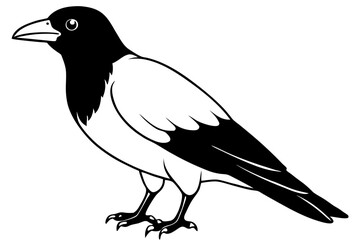Obraz premium crow silhouette line art vector illustration with a white background