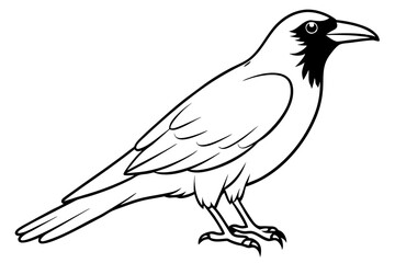 Fototapeta premium crow silhouette line art vector illustration with a white background