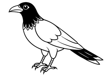 crow silhouette line art vector illustration with a white background