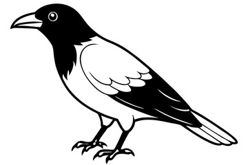 crow silhouette line art vector illustration with a white background