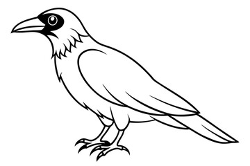 crow silhouette line art vector illustration with a white background