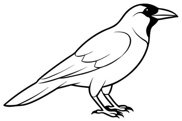 Obraz premium crow silhouette line art vector illustration with a white background