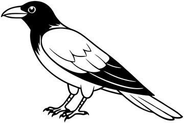 Obraz premium crow silhouette line art vector illustration with a white background