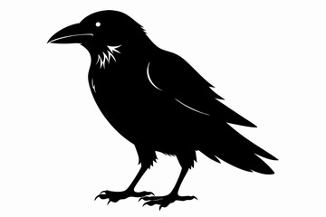 Obraz premium crow silhouette line art vector illustration with a white background