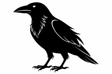 Fototapeta premium crow silhouette line art vector illustration with a white background