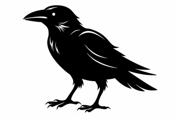 crow silhouette line art vector illustration with a white background