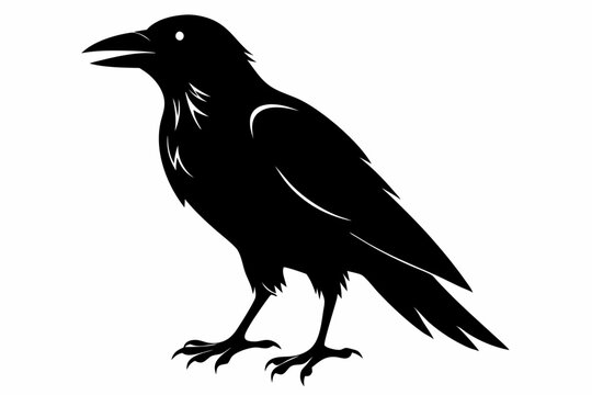 crow silhouette line art vector illustration with a white background