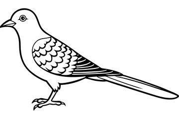 cuckoo silhouette line art vector illustration with a white background