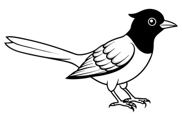 cuckoo silhouette line art vector illustration with a white background
