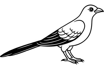 cuckoo silhouette line art vector illustration with a white background