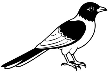 cuckoo silhouette line art vector illustration with a white background