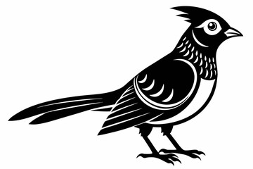 cuckoo silhouette line art vector illustration with a white background