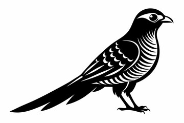 Fototapeta premium cuckoo silhouette line art vector illustration with a white background