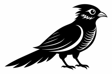Fototapeta premium cuckoo silhouette line art vector illustration with a white background