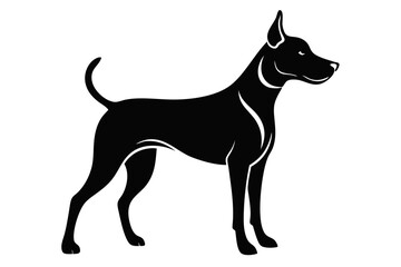 dolphin silhouette line art vector illustration with a white background