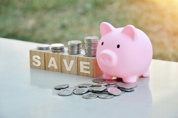 Piggy bank and coins, saving and investment concept.