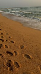 Footprints on the beach