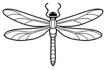 dragonfly silhouette line art vector illustration with a white background