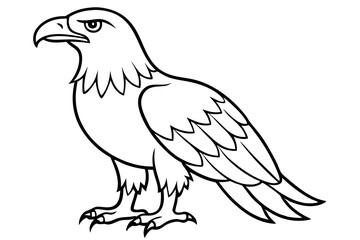 eagle silhouette line art vector illustration with a white background