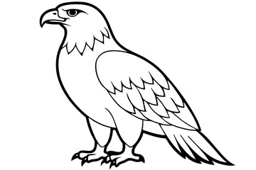 eagle silhouette line art vector illustration with a white background