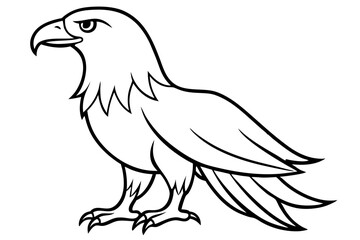 eagle silhouette line art vector illustration with a white background