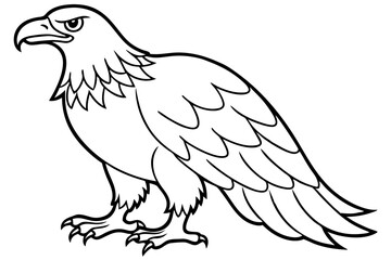 eagle silhouette line art vector illustration with a white background