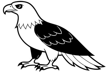 eagle silhouette line art vector illustration with a white background
