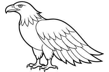 eagle silhouette line art vector illustration with a white background