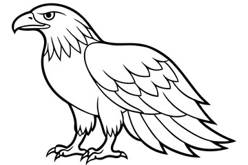 eagle silhouette line art vector illustration with a white background