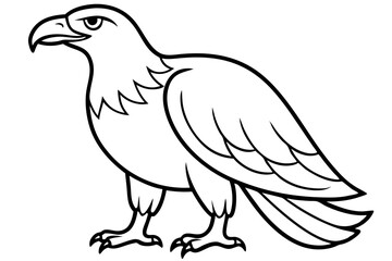 eagle silhouette line art vector illustration with a white background