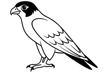 falcon silhouette line art vector illustration with a white background