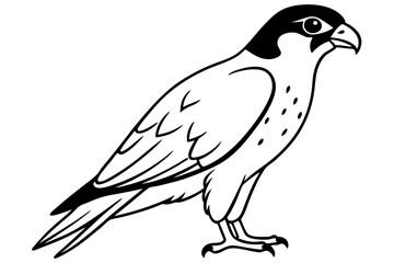 falcon silhouette line art vector illustration with a white background