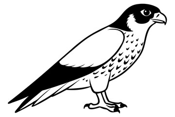 falcon silhouette line art vector illustration with a white background