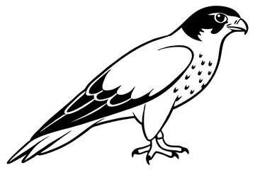 falcon silhouette line art vector illustration with a white background