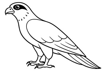 falcon silhouette line art vector illustration with a white background