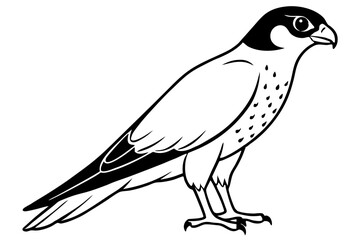 falcon silhouette line art vector illustration with a white background